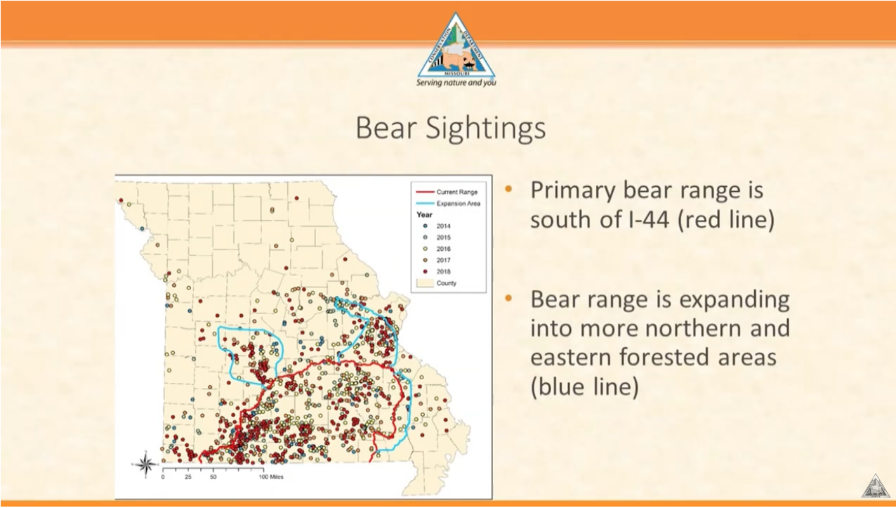 Bear Sightings In Missouri